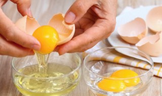 袋装鲜鸡蛋的保存方法 鲜鸡蛋的储存方法