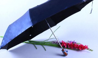 黑胶太阳伞能淋雨吗 黑胶伞就是太阳伞吗