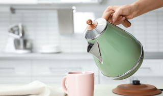 电热水壶第一次使用如何清洗 新买的电热水壶第一次如何清洗消毒