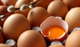冬季新鲜鸡蛋怎么保存方法（夏季鲜鸡蛋的保存方法）