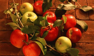 山旱地苹果树种植方法 苹果树抗旱吗