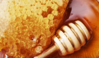 澳洲蜂胶保存方法（澳洲蜂胶的保质期是多长时间）