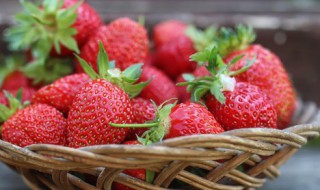 草莓播种方法 草莓播种方法和时间