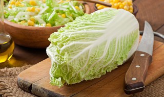 白菜播种方法 大白菜的播种方法