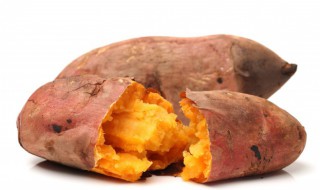 红薯的栽培方法 无土红薯的栽培方法