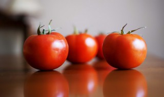 西红柿的栽培方法 西红柿的栽培方法方法