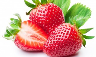 红颜草莓能陆地栽培方法（红颜草莓种植技术详解）