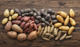 人工栽培的土豆怎么种植（土豆的种植方法）