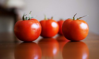 瀑布番茄的养殖方法和注意事项 瀑布番茄的养殖方法和注意事项视频
