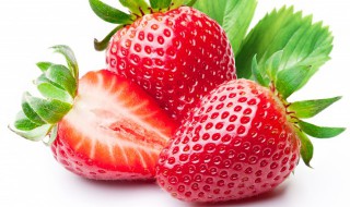 盆栽种草莓应该注意种植深度 盆栽种草莓的技巧和正确方式