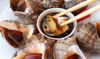 海螺要煮多长时间能熟 海螺煮多长时间才能熟?