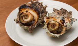 海螺煮多长时间 海螺煮多长时间可以吃