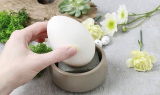煮鹅蛋多长时间 煮鹅蛋多长时间能熟