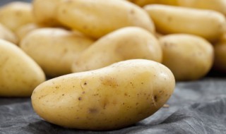 马玲薯什么时候种 马铃薯是几月份种