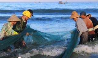 海产养殖公司安全生产注意事项 水产养殖安全生产