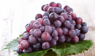 葡萄籽什么时候种最好 葡萄籽栽种应该在什么时候