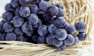 葡萄可以放冰箱冷藏里面吗 葡萄可以放冰箱冷藏吗?