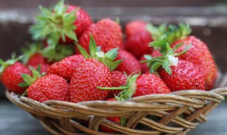 草莓是什么时候种 草莓是什么时候种下去的