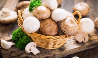 蘑菇煮多长时间能熟 蘑菇煮多长时间可以熟