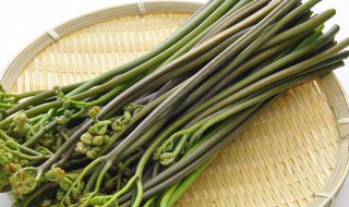 鲜蕨菜怎么做好吃 蕨菜怎么做最好吃