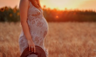 怀孕几个月吃燕窝最好（怀孕几个月吃燕窝最好?）