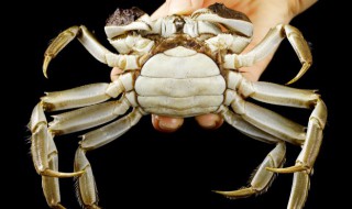 螃蟹煮多长时间可以吃 螃蟹一般煮多长时间可以吃