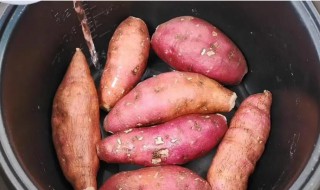 红薯大概煮多长时间熟 红薯煮多长时间才熟