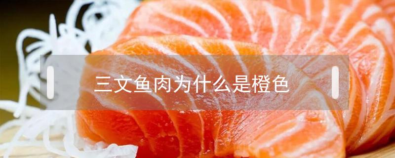 三文鱼肉为什么是橙色 三文鱼 橙色
