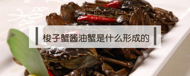梭子蟹酱油蟹是什么形成的（梭子蟹酱的制作方法）