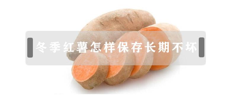 冬季红薯怎样保存长期不坏 冬天红薯怎样保存长期不坏