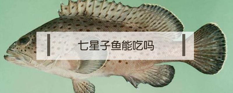 七星子鱼能吃吗 黑龙江七星子鱼能吃吗