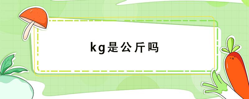 kg是公斤吗