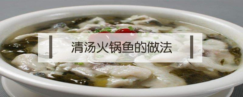 清汤火锅鱼的做法 清汤火锅鱼的做法最正宗的做法