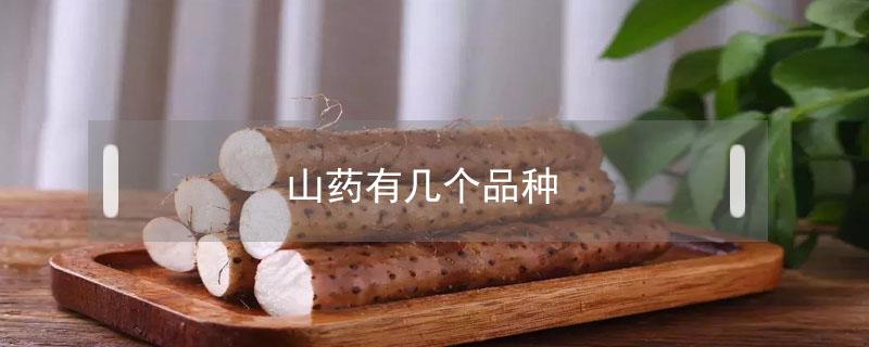 山药有几个品种