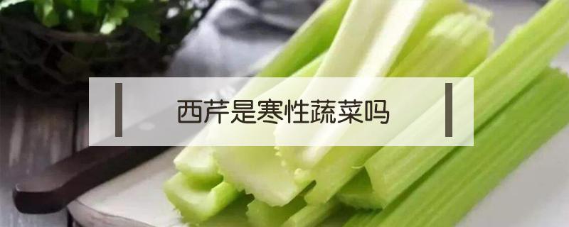西芹是寒性蔬菜吗（西芹是凉性食物吗）