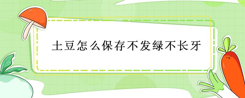 土豆怎么保存不发绿不长牙（土豆怎么保存不发绿不长牙装防发芽）