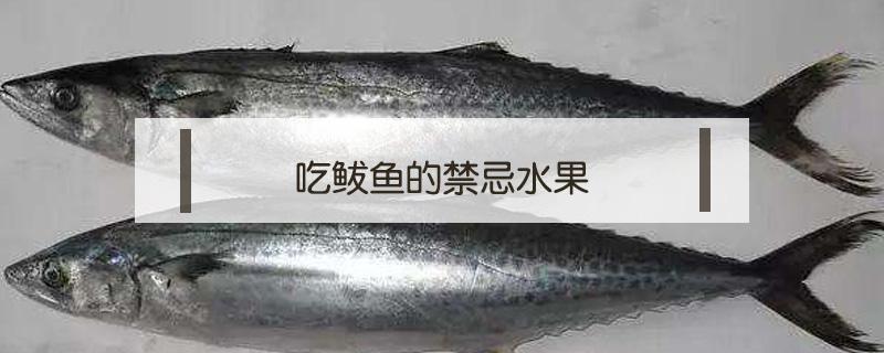 吃鲅鱼的禁忌水果 鲅鱼饮食禁忌