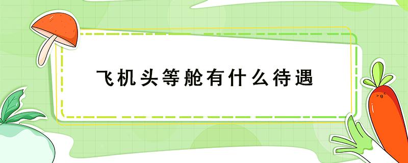 飞机头等舱有什么待遇 航空公司头等舱待遇