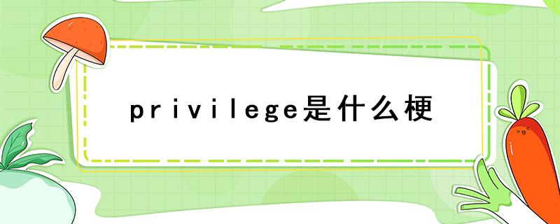 privilege是什么梗 说到privilege是什么梗