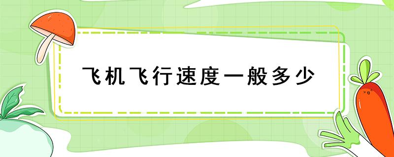 飞机飞行速度一般多少（私人飞机飞行速度一般多少）