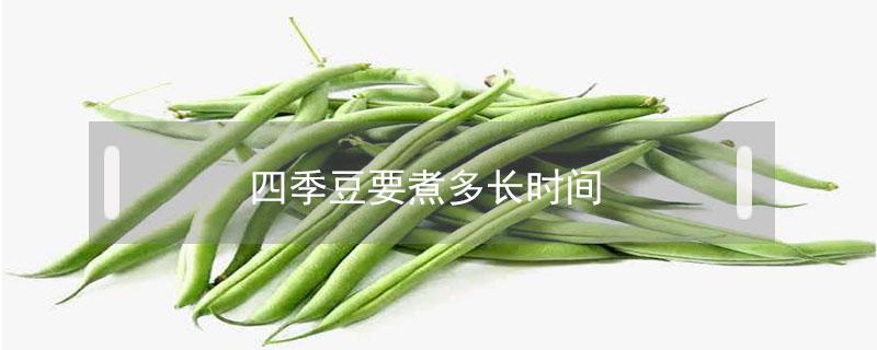 四季豆要煮多长时间