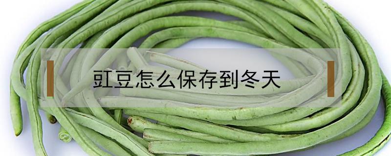 豇豆怎么保存到冬天