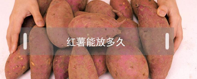 红薯能放多久 煮熟的红薯能放多久