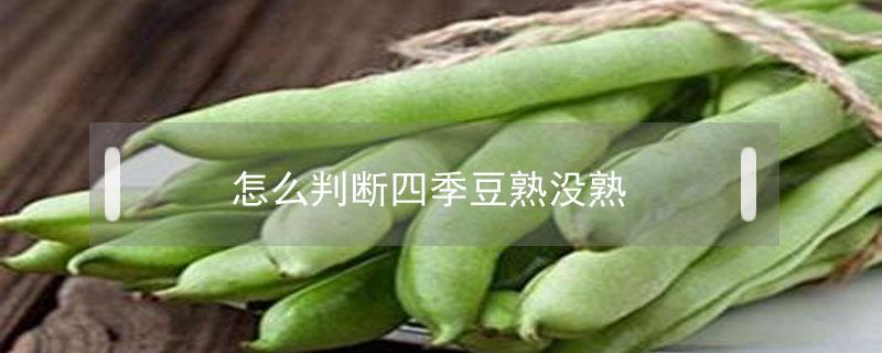 怎么判断四季豆熟没熟 怎么辨别四季豆熟了