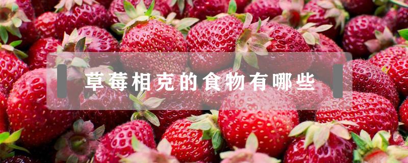 草莓相克的食物有哪些 草莓相宜相克食物表