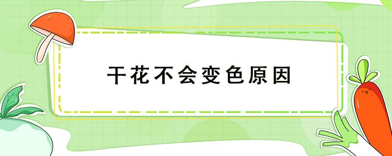 干花不会变色原因 干花过一段时间为什么会变色