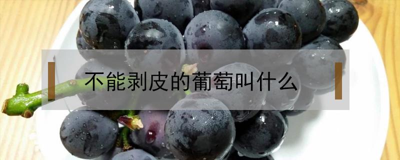 不能剥皮的葡萄叫什么 不用剥皮吃的葡萄是什么葡萄