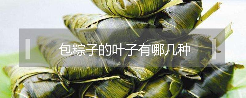 包粽子的叶子有哪几种 北方包粽子的叶子有哪几种