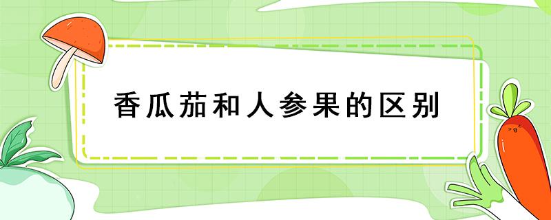 香瓜茄和人参果的区别