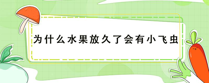 为什么水果放久了会有小飞虫